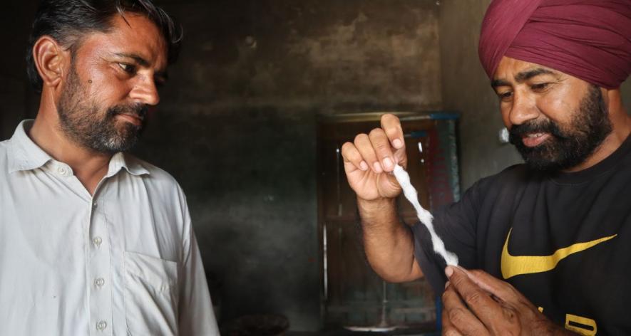 Farmer Sukhmander Singh (on left) with Gora Singh (on right) of Trinjan, Kheti Virasat Mission (Photo - Sanskriti Talwar, 101Reporters