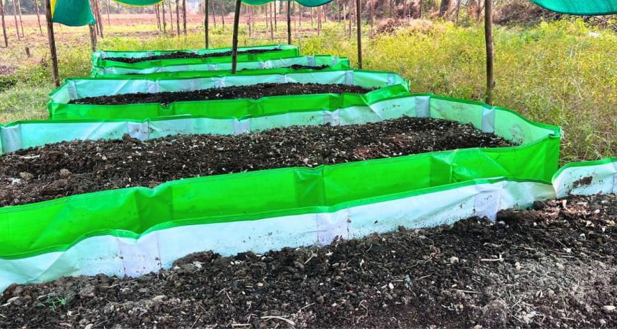 A vermicompost set-up by a Chhaya local farmer in Baidora village in Jhansi (Photo - Sneha Richhariya, 101Reporters) (2).j