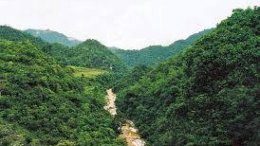 The hills, rich with flora fauna and medicinal plants, are estimated to hold 104.78 million tonnes of bauxite reserves, surpassing the 72 mt in the Niyamgiri hills.