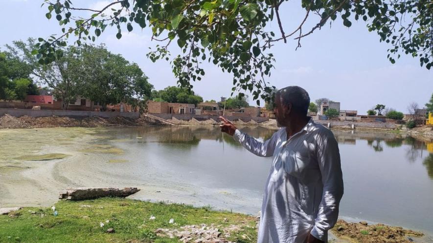 A pond filled with dirty water (Photo - Amarpal Singh Verma, 101Reporters)