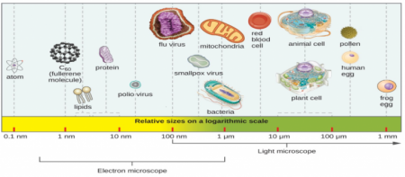 graph-768x337.png