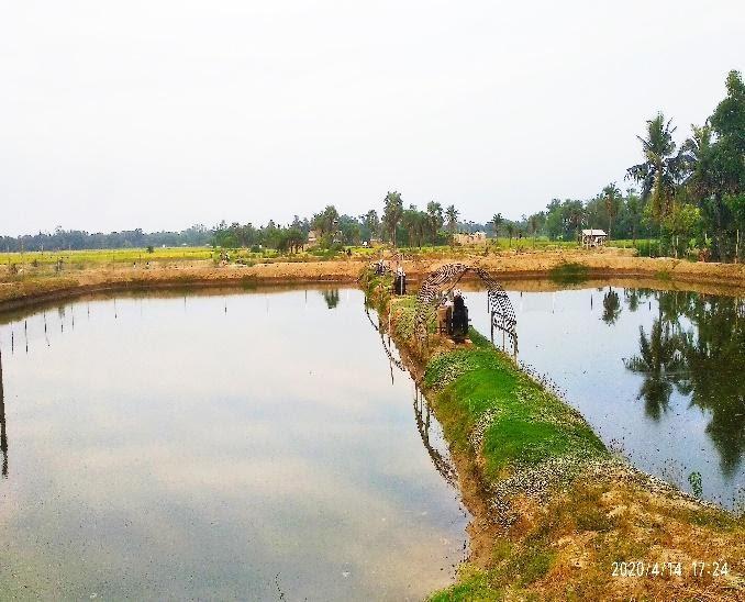 Inactive prawn cultivation areas