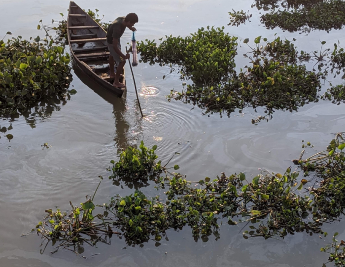 local fish assam oil field