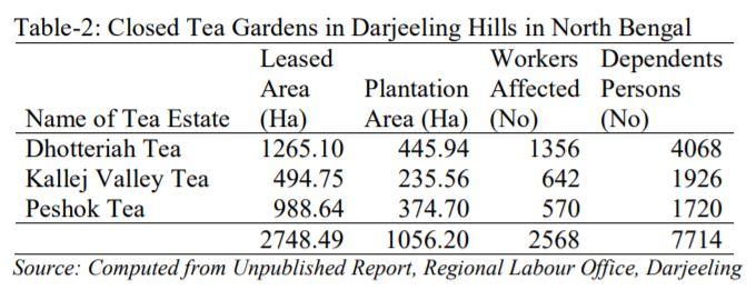 table tea gardens 2